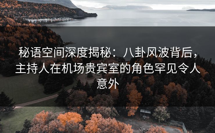 秘语空间深度揭秘:八卦风波背后,主持人在机场贵宾室的角色罕见令人意外