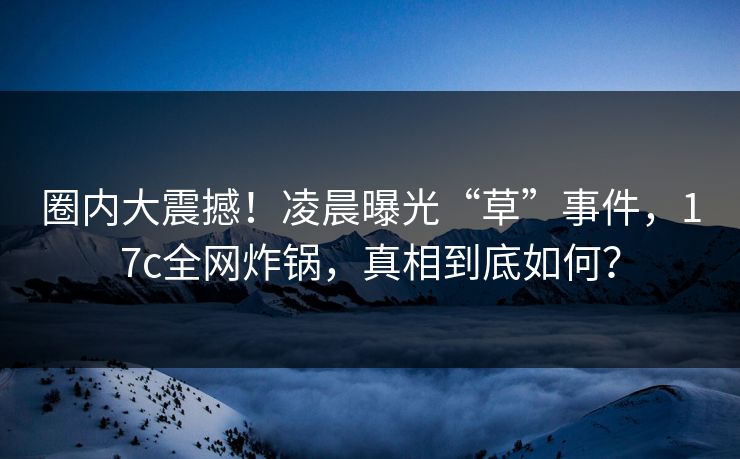 圈内大震撼！凌晨曝光“草”事件，17c全网炸锅，真相到底如何？