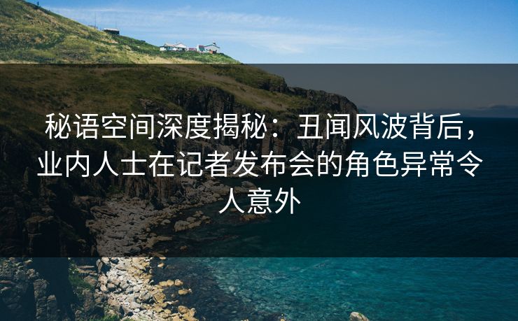 秘语空间深度揭秘：丑闻风波背后，业内人士在记者发布会的角色异常令人意外