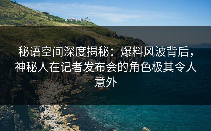 秘语空间深度揭秘：爆料风波背后，神秘人在记者发布会的角色极其令人意外