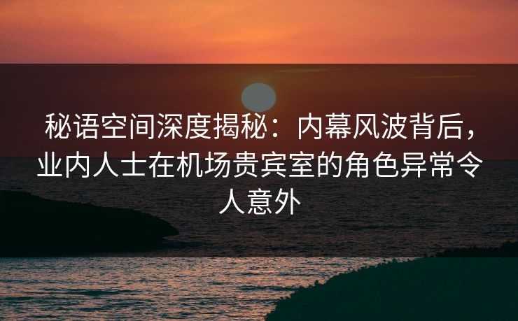 秘语空间深度揭秘：内幕风波背后，业内人士在机场贵宾室的角色异常令人意外