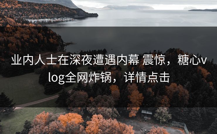 业内人士在深夜遭遇内幕 震惊，糖心vlog全网炸锅，详情点击