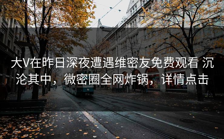 大V在昨日深夜遭遇维密友免费观看 沉沦其中，微密圈全网炸锅，详情点击